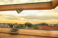 rated Rushmere roof window companies